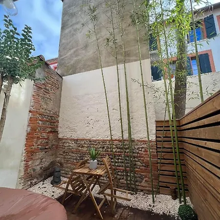 Casa Nostra - T1 - Terrasse Privative Apartment Toulouse