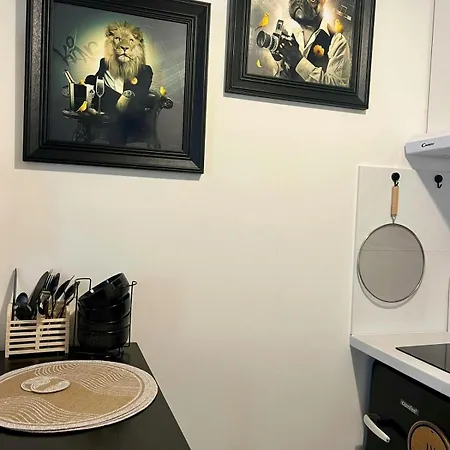 דירה Casa Nostra - T1 - Terrasse Privative טולוז