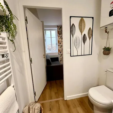 דירה Casa Nostra - T1 - Terrasse Privative טולוז