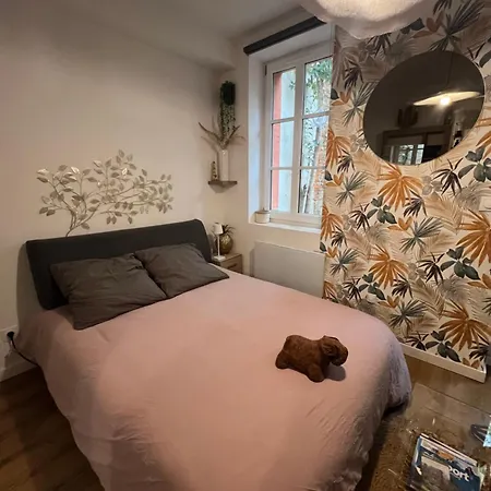 Casa Nostra - T1 - Terrasse Privative Тулуза