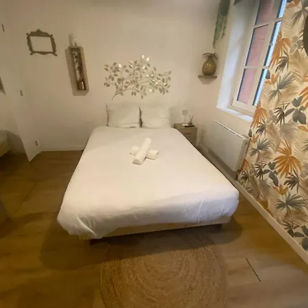 Casa Nostra - T1 - Terrasse privative Tolosa