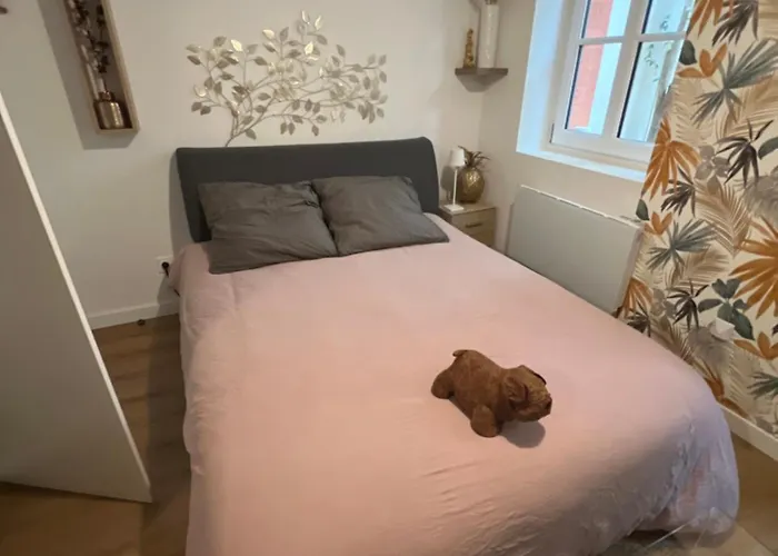 Lägenhet Casa Nostra - T1 - Terrasse Privative Toulouse