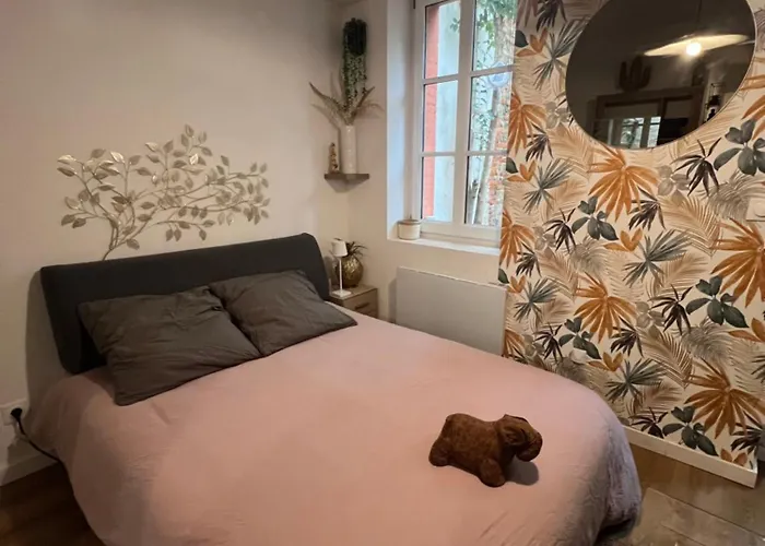 Casa Nostra - T1 - Terrasse Privative Toulouse