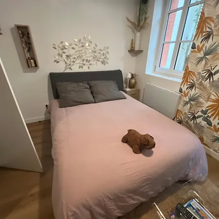 Appartement Casa Nostra - T1 - Terrasse Privative Toulouse